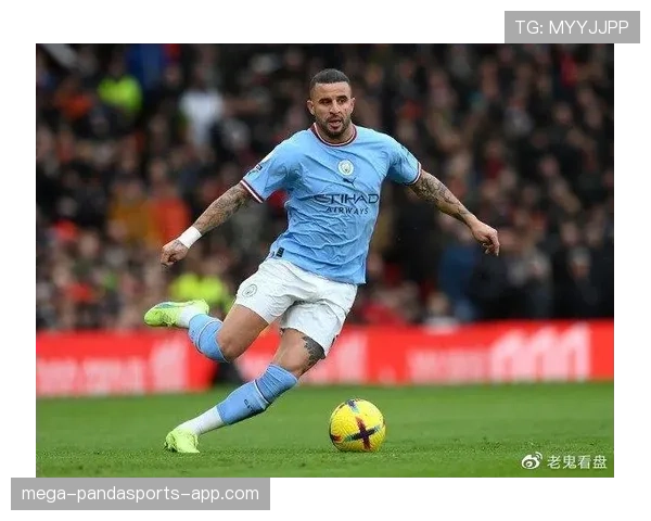 凯尔·沃克与坎塞洛：防守能力差异与技术风格分野解析